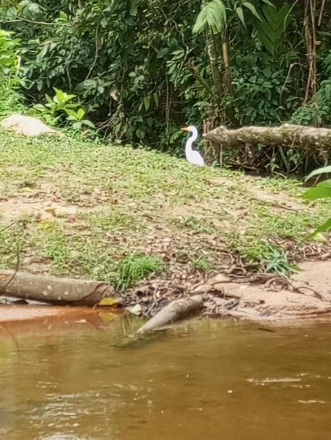 Pousada 5 Cachoeiras Ubatuba Esterno foto